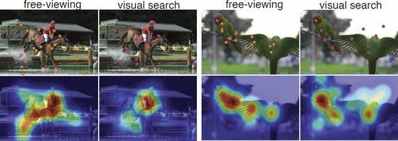 Sample images